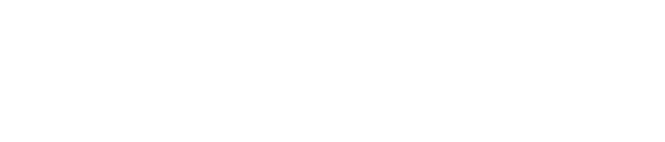 FleetGoo Logo